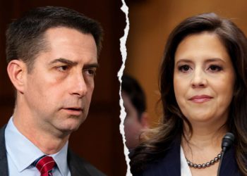Stefanik, riznica Cotton Press -a kako bi istražila CAIR -a zbog navodnih Hamasovih kravata