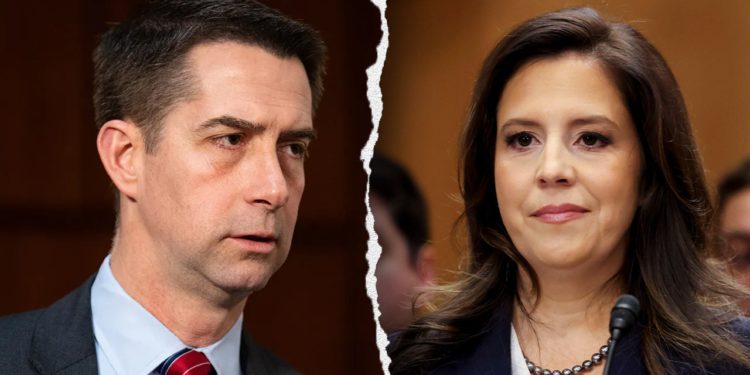 Stefanik, riznica Cotton Press -a kako bi istražila CAIR -a zbog navodnih Hamasovih kravata