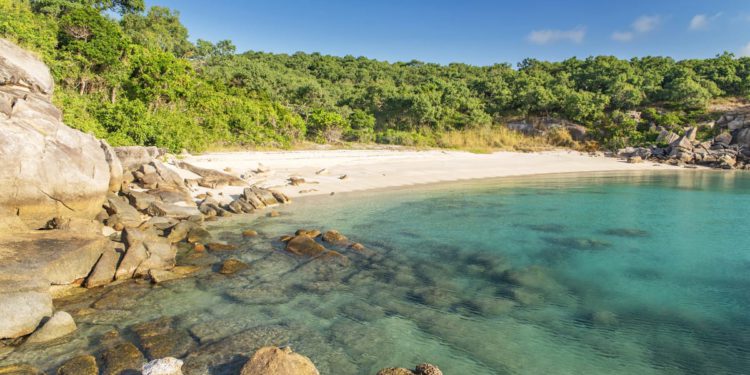 TRAGEDIJA NA OTOKU GUŠTERA Posada kruzera zaboravila i ostavila 80-godišnju putnicu