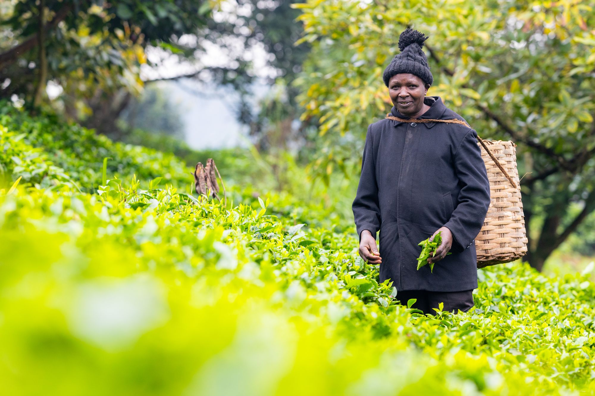 62-godišnji Francis rekao je da će, ako njegova obitelj zaradi više novca, njegov glavni prioritet kupiti svoju obitelj bolje medicinsko osiguranje