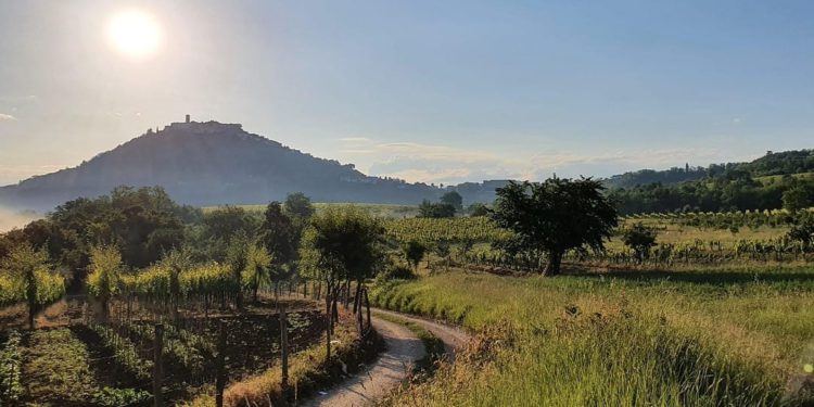 Teško ozlijeđen švicarski biciklist kod Motovuna