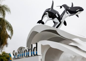 Turist tuži matične tvrtke Seaworld-a za ‘mamac-i-prebacivanje’ u skrivenim cijenama ulaznica