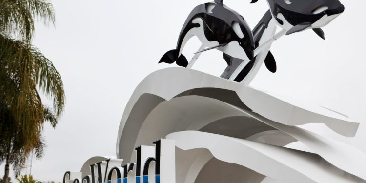 Turist tuži matične tvrtke Seaworld-a za ‘mamac-i-prebacivanje’ u skrivenim cijenama ulaznica