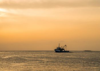 Turska i države sjeverne Afrike postaju divovi u ribarstvu i teško ih je kontrolirati!