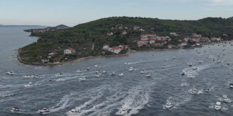 U Lukoranu održan najveći lignjolov na Jadranu