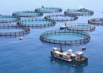 U Poličniku će se proizvoditi vrijedne sirovine od ribljih nusproizvoda za Norveško i Jadransko more