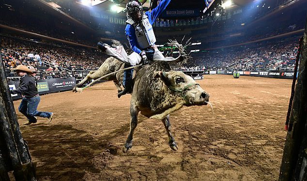 Unutar ‘zastrašujućeg’ svijeta jahanja prokoka i ekstravagantnog putujućeg cirkusa koji je aktivisti za prava životinja bijes