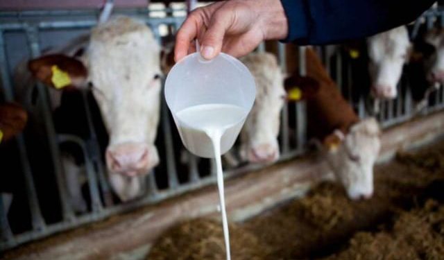 VIDEO Novo poskupljenje, cijena mlijeka bi mogla dosegnuti tri marke