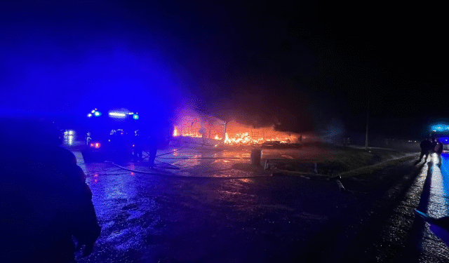 VIDEO Veliki požar zahvatio tržnicu Arizona u Brčkom