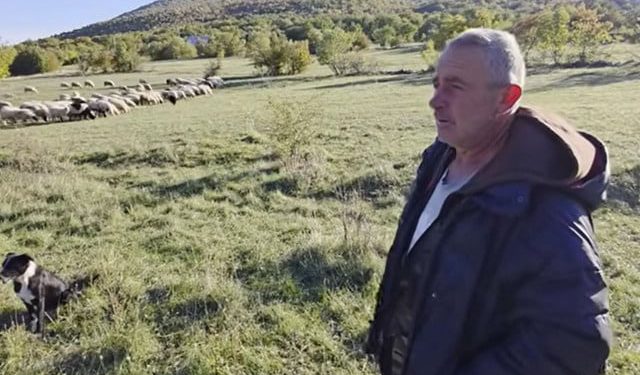 VIDEO Zoran čuva 400 ovaca na Gorancima – život koji nestaje