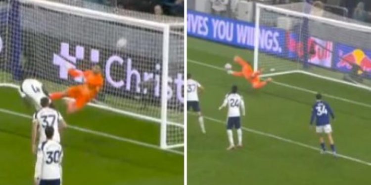 Vikar štiti sve! Tottenham svladao Everton