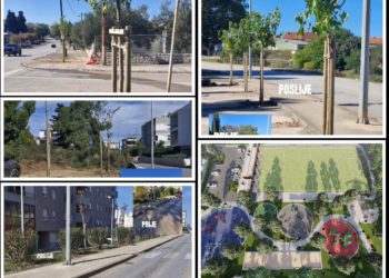 ZELENI PLAN Mnoge Zadrane iznenadila sadnja velikog broja stabala