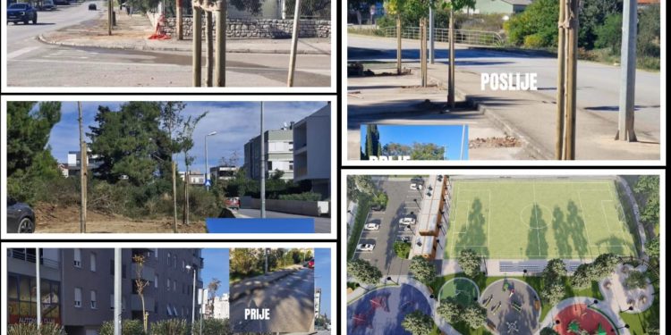 ZELENI PLAN Mnoge Zadrane iznenadila sadnja velikog broja stabala