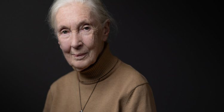 ŽELJE JANE GOODALL -a ‘POSLEDNE RIJEČI’ PRIJE UMOĆE POSTOJI MUSK, Trumpa i Netanyahua na SpaceX letu odavde