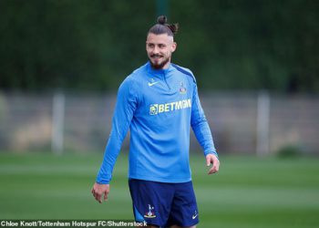 Zaboravljena zvijezda Tottenham otkriva vremenski okvir povratka ozljede nakon što je klub Premier lige odbio pristup reprezentacije