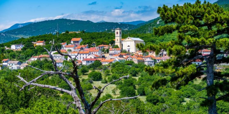 Zanimljiv vikend pred nama za avanturiste, ljubitelje prirode i psića