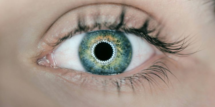 Znanstveni iskorak: Razvili zaslon koji ljudsko oko ne može razlikovati od stvarnosti