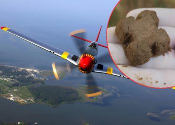 Zrakoplovi s Brača danas u akciji: Cjepivo protiv bjesnoće širi se diljem Dalmacije