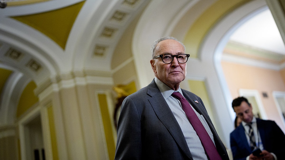 Chuck Schumer na Kapitolu