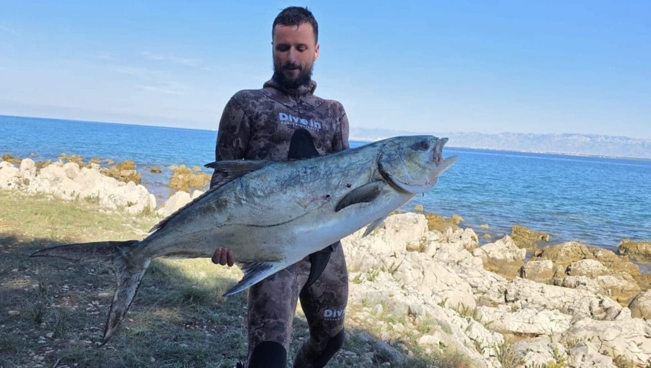 dario lica1