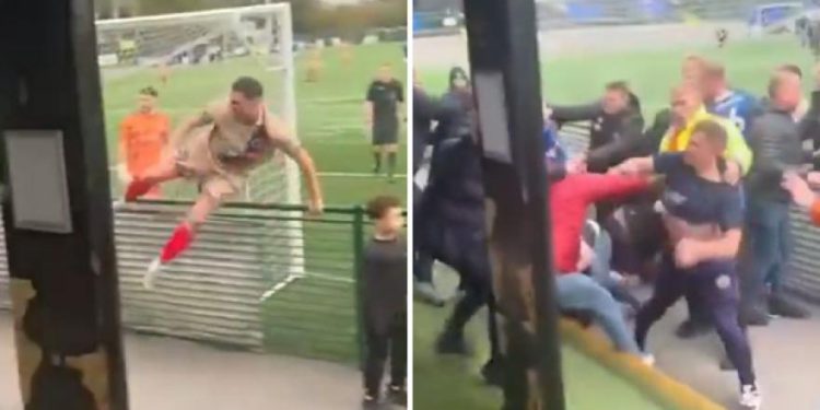 igrači se popnu preko mreže i izbije tučnjava s navijačima