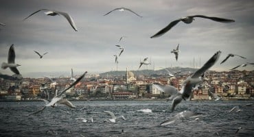 TIJEKOM CIJELE GODINE Počinju letovi iz Mostara za Istanbul, karte već u prodaji