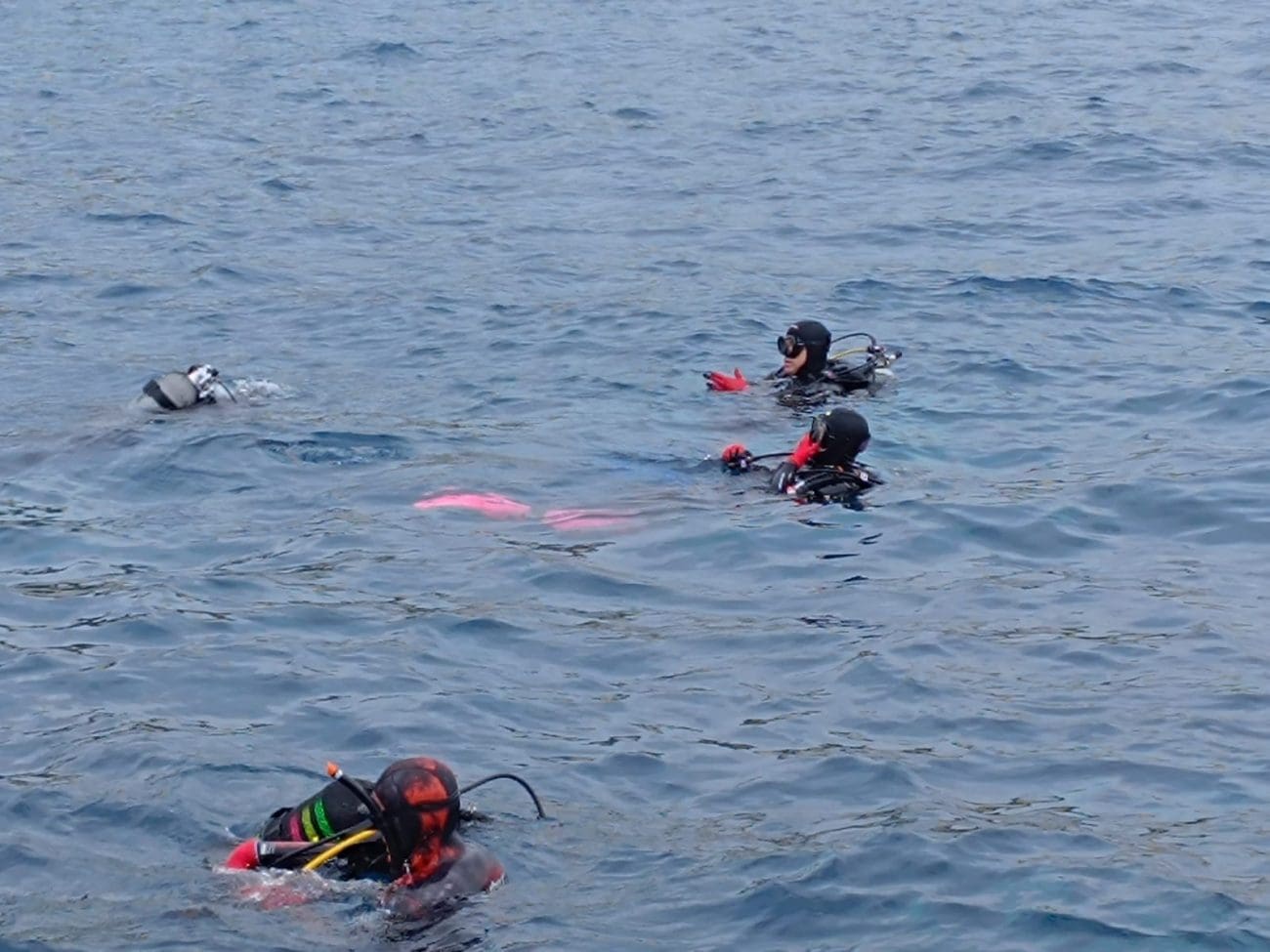 Eko akcija na Biševu: "Čistilo se podmorje uvale Mezuporat"