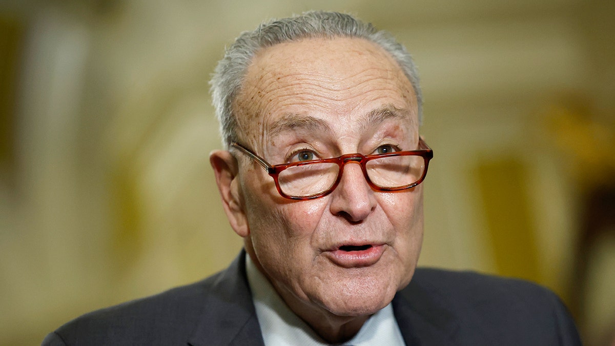 Chuck Schumer razgovara s novinarima