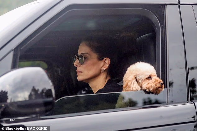 Louis je zapravo bio razlog zašto su se Bullock i Randall prvi put sreli - angažirala ga je kao fotografa da snimi rođendansku zabavu njezina sina