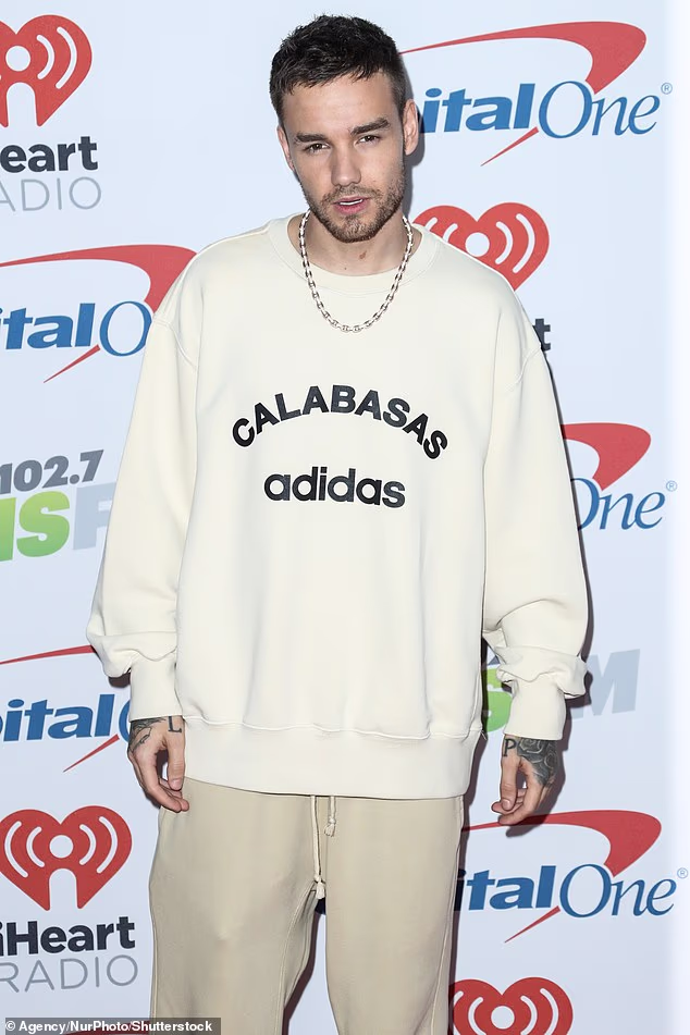 Prošlog mjeseca, Liamova starija sestra Nicola objavila je srceparajuću počast njemu opisujući njegov gubitak kao 'bol koja nikada neće zacijeliti' (Viđeno 2017.)