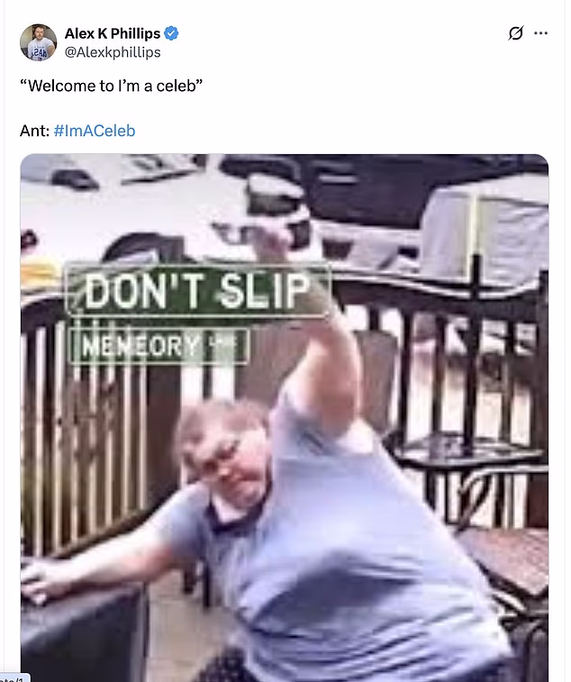 Obožavatelji su se našalili na X: 'Mrav koji je zamalo poletio upravo mi je uljepšao dan. Oprosti prijatelju,