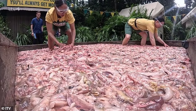 Alexu i Shoni također je dodijeljen užasan zadatak traženja ključeva od lokota u velikoj kadi ribljih iznutrica i iznutrica