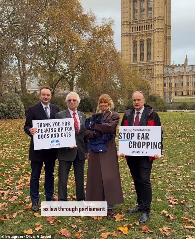 Prijedlogom zakona zabranit će se uvoz pasa s kupiranim ušima i kupiranim repovima, kao i mačaka bez kandži