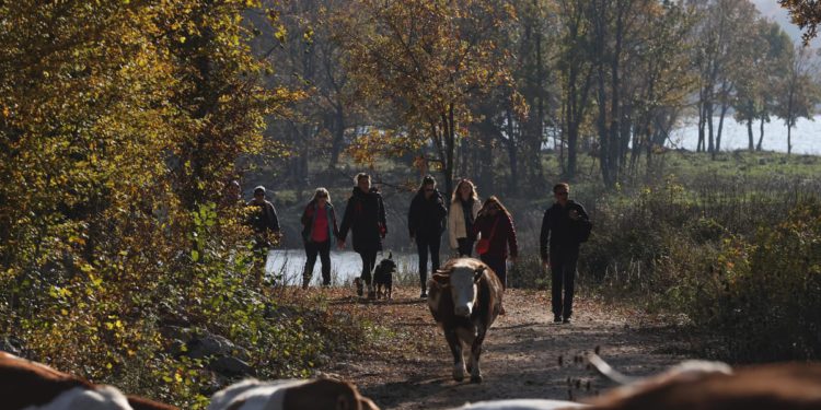 2. GO! Festival u Gračacu i Obrovcu