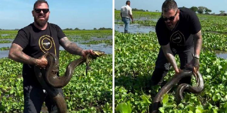 Adria raskinuo suradnju s influencerom: “Uznemiravao je anakodnu i mravojeda” Influencer: “To nije nikakavo mučenje!”