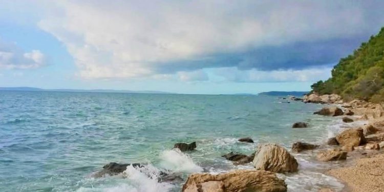 Beživotna obala kao spomenik kratkovidnosti!