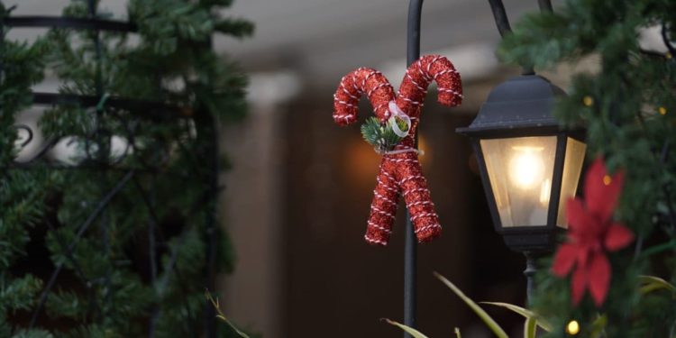 Božićni autobus ponovno vozi Splitom: Čarobna vožnja od HNK do Advent parka Mertojak