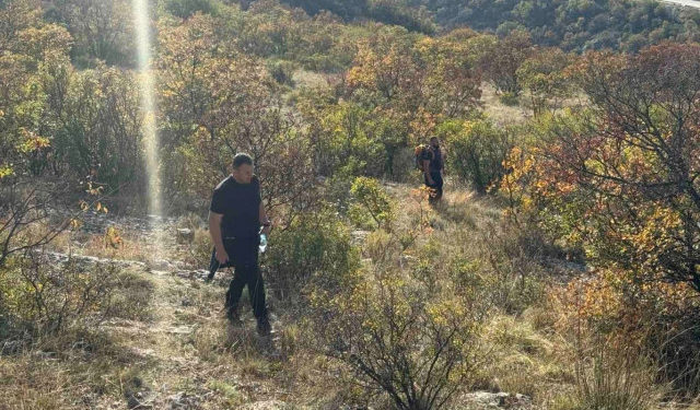 Federalna uprava civilne zaštite uključila se u potragu za Fatimom Džajić