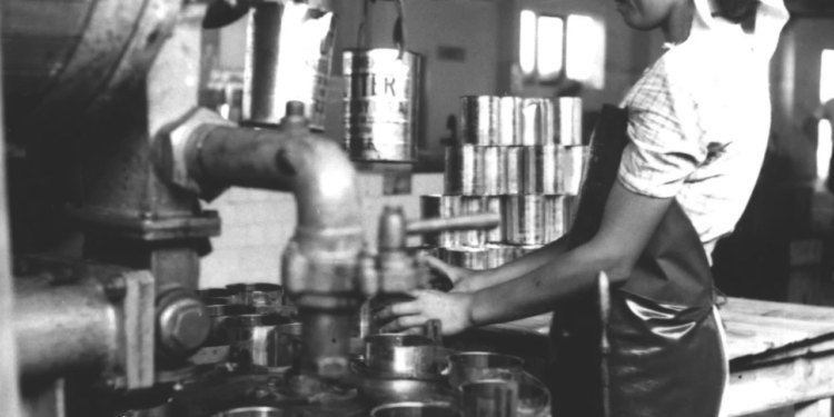 Kako je Međimurac ‘ukrotio’ Neretvane i stvorio ‘kušervu’ za engleski dvor, a prerađenu jegulju prodavao Talijanima