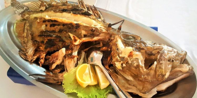 Kovač ili šanpjer s gradela