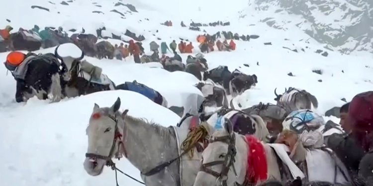 Lavina u Nepalu ubila 7 penjača na planini Yalung Ri