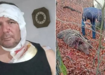 Lovac iz BiH preživio napad medvjedice: ‘Bacila se na mene kao puma’