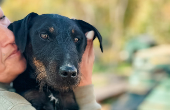 Malen, pametan i pun energije: Maks traži novu priliku