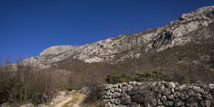 Muškarac ozlijeđen za vrijeme lova na području Gračaca, policija provodi kriminalističko istraživanje