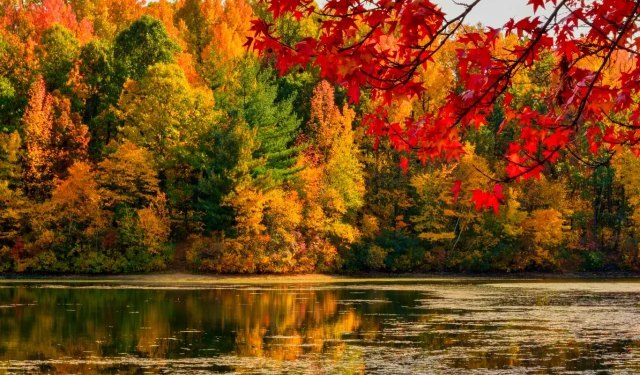Narednih dana uživajte u pravoj i idiličnoj jeseni