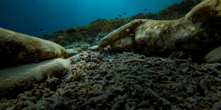 Oceanograf s Ruđera o klimatskim promjenama: “50 posto svih koralja već je umrlo”