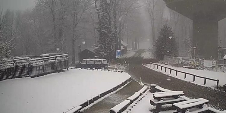 Pogledajte snimke, na Sljemenu fino pada snijeg: Možda bude dosta i za sanjkanje