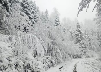 Pogledajte snimke snježne idile na Sljemenu: Na vrhu već ima roditelja s djecom