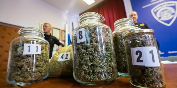 Policija kod 59-godišnjaka na području Zadra pronašla skoro pola kila ‘trave’ i opremu za uzgoj!