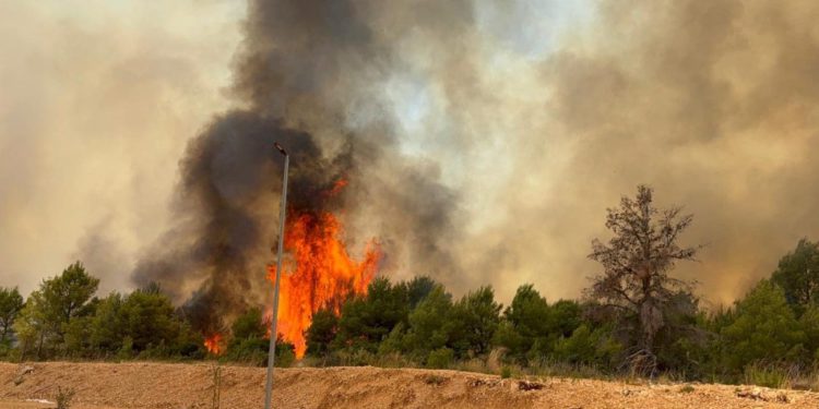 Požar u Zmijavcima: JVP Imotski intervenirala s dva vozila i pet vatrogasaca